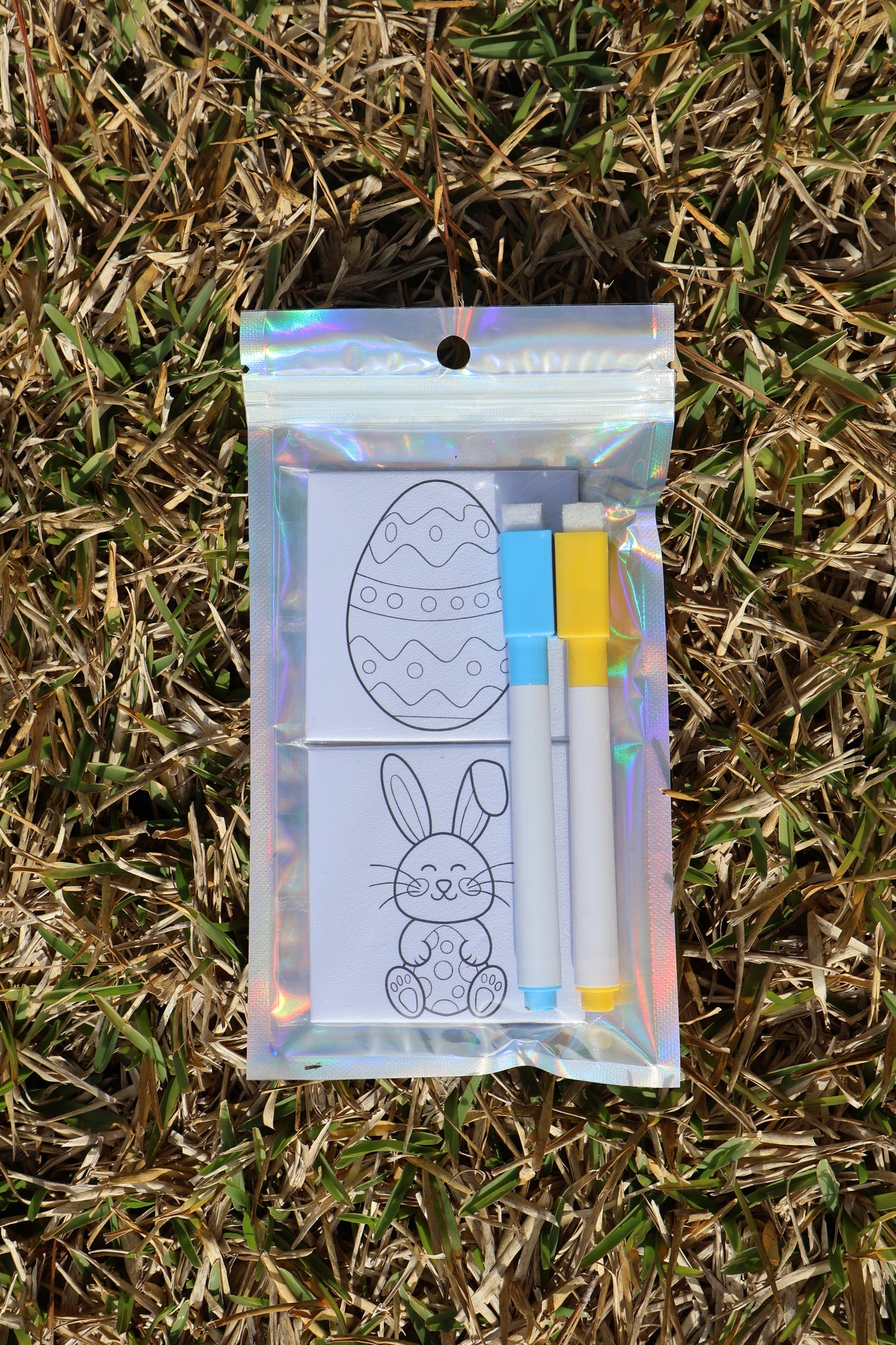 Easter Coloring Magnet Kit